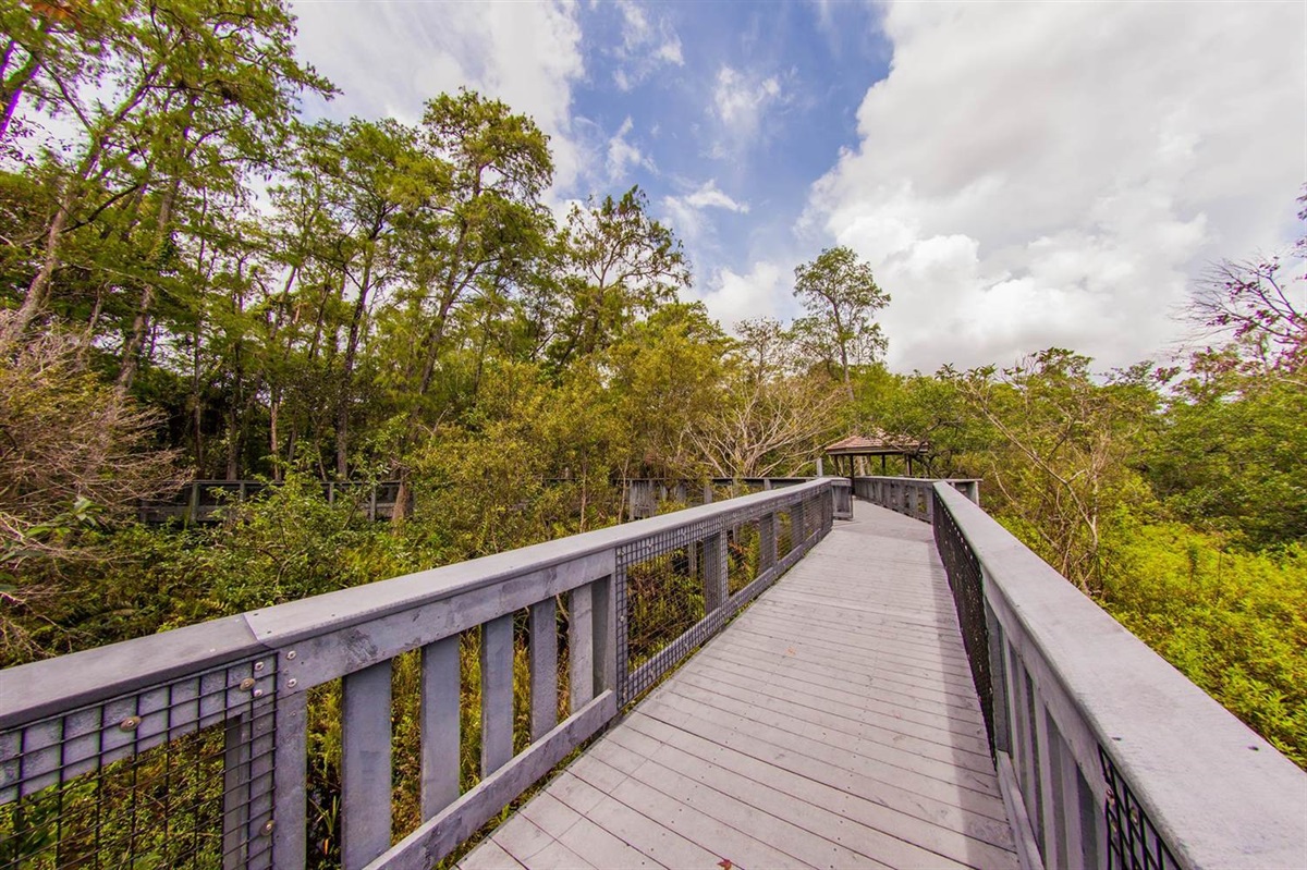 Tall Cypress Natural Area City Of Coral Springs